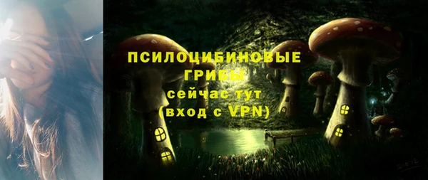 первитин Зеленодольск