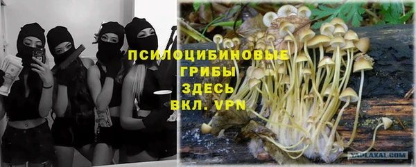 первитин Зеленодольск