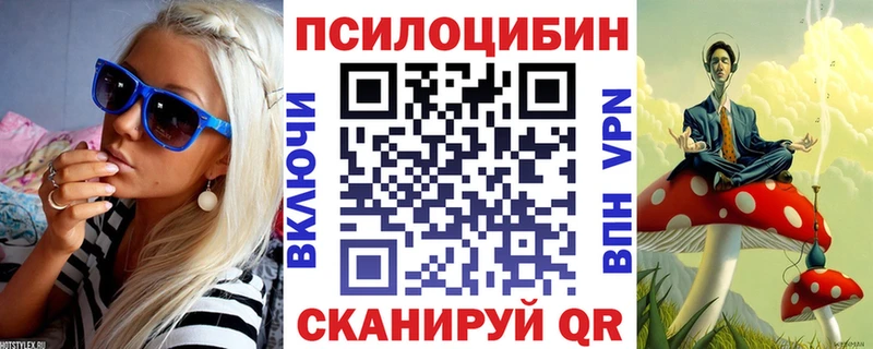 Псилоцибиновые грибы Psilocybine cubensis  Купить  Усмань 